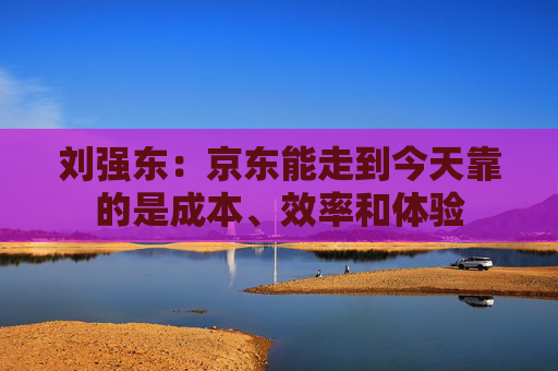 刘强东：京东能走到今天靠的是成本、效率和体验