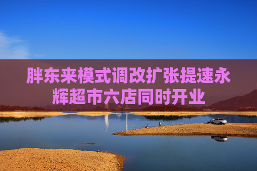 胖东来模式调改扩张提速永辉超市六店同时开业