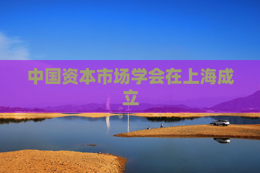 中国资本市场学会在上海成立