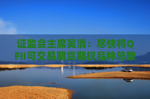 证监会主席吴清：尽快将QFII可交易期货期权品种总数扩展到100个
