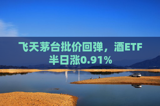 飞天茅台批价回弹，酒ETF半日涨0.91%