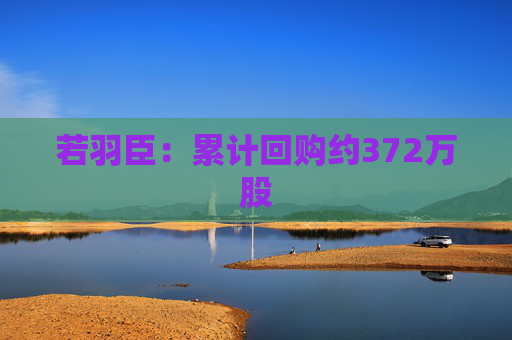 若羽臣：累计回购约372万股