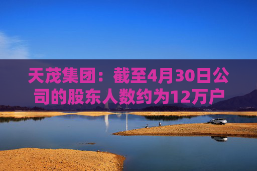 天茂集团：截至4月30日公司的股东人数约为12万户
