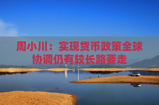 周小川：实现货币政策全球协调仍有较长路要走