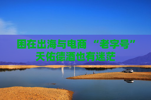 困在出海与电商 “老字号”天佑德酒也有迷茫