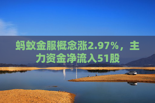 蚂蚁金服概念涨2.97%，主力资金净流入51股
