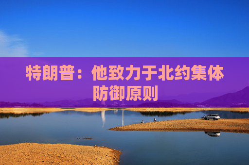 特朗普：他致力于北约集体防御原则