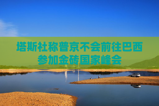 塔斯社称普京不会前往巴西参加金砖国家峰会