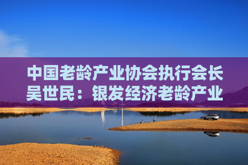 中国老龄产业协会执行会长吴世民：银发经济老龄产业不仅是经济命题，更是国家、民族文明进步的标尺