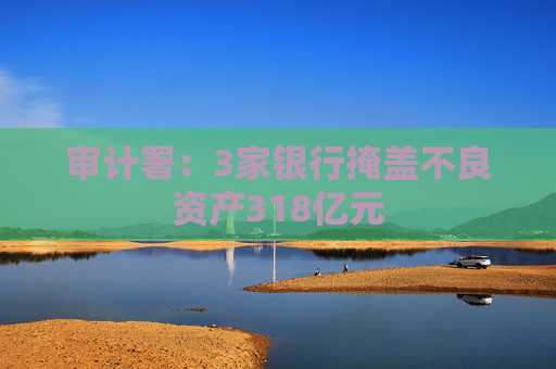 审计署：3家银行掩盖不良资产318亿元