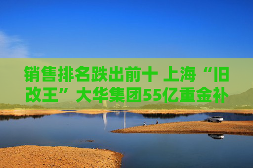 销售排名跌出前十 上海“旧改王”大华集团55亿重金补仓