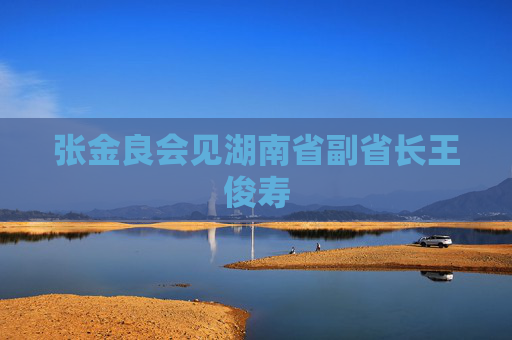 张金良会见湖南省副省长王俊寿