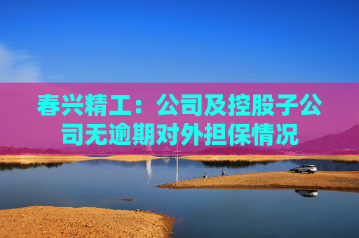 春兴精工：公司及控股子公司无逾期对外担保情况