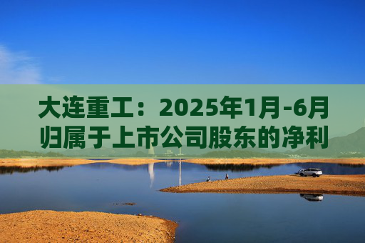 大连重工：2025年1月-6月归属于上市公司股东的净利润30460万元-32600万元