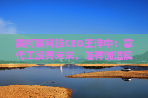 美柯森科技CEO王洋中：靠代工没有未来，唯有创造属于自己的核心价值