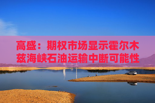 高盛：期权市场显示霍尔木兹海峡石油运输中断可能性很小