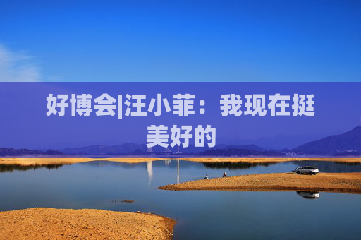 好博会|汪小菲：我现在挺美好的