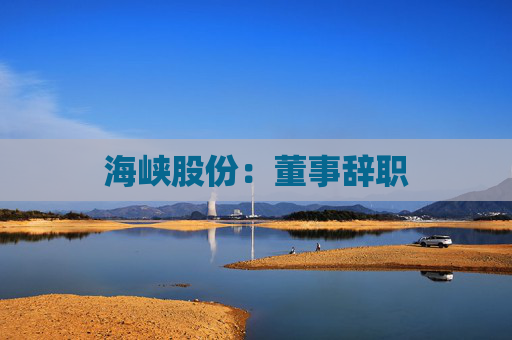 海峡股份：董事辞职