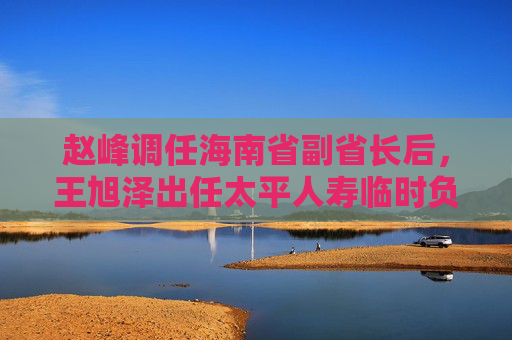 赵峰调任海南省副省长后，王旭泽出任太平人寿临时负责人