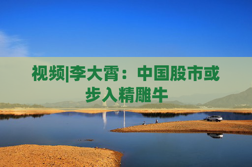 视频|李大霄：中国股市或步入精雕牛