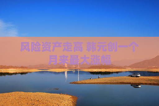 风险资产走高 韩元创一个月来最大涨幅