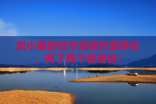 刘小腊卸任华润信托董事长，有了两个新身份！