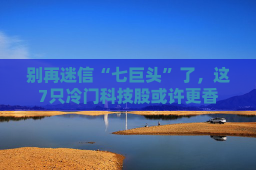 别再迷信“七巨头”了，这7只冷门科技股或许更香