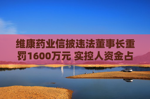 维康药业信披违法董事长重罚1600万元 实控人资金占用引可转债发行材料不准确