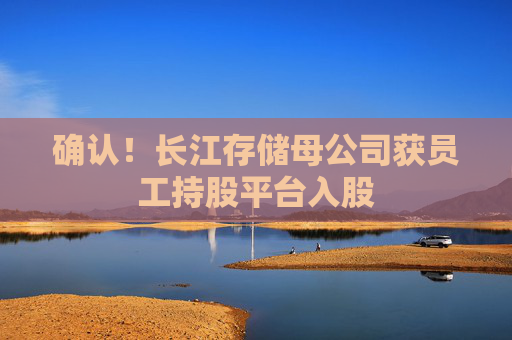 确认！长江存储母公司获员工持股平台入股