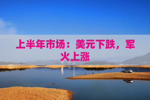 上半年市场：美元下跌，军火上涨