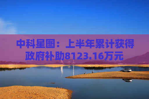 中科星图：上半年累计获得政府补助8123.16万元