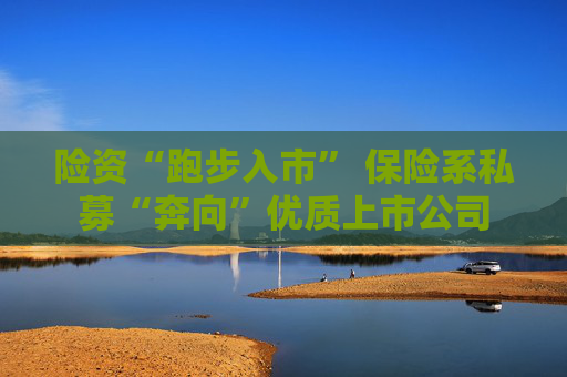 险资“跑步入市” 保险系私募“奔向”优质上市公司