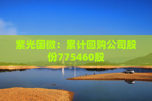 紫光国微：累计回购公司股份775460股