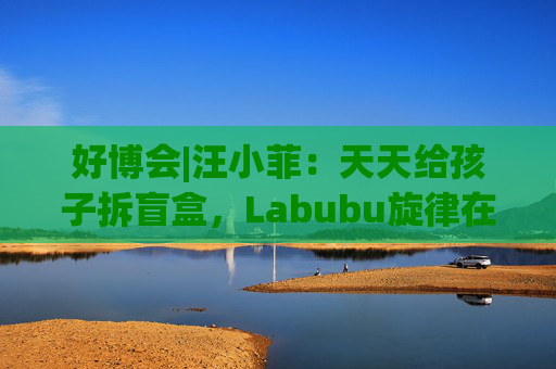 好博会|汪小菲：天天给孩子拆盲盒，Labubu旋律在脑子里翻来翻去
