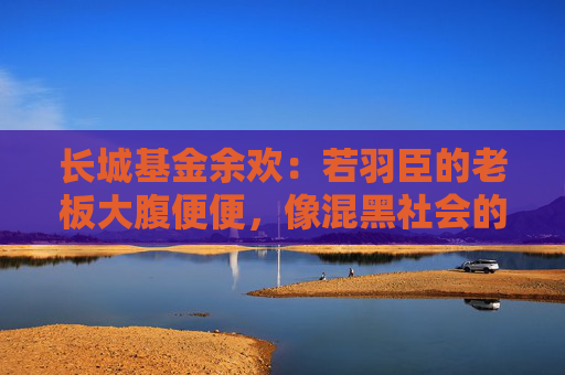 长城基金余欢：若羽臣的老板大腹便便，像混黑社会的