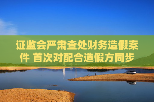 证监会严肃查处财务造假案件 首次对配合造假方同步追责