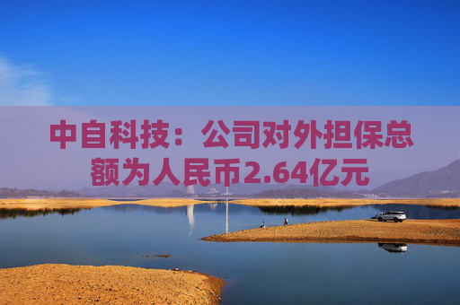 中自科技：公司对外担保总额为人民币2.64亿元