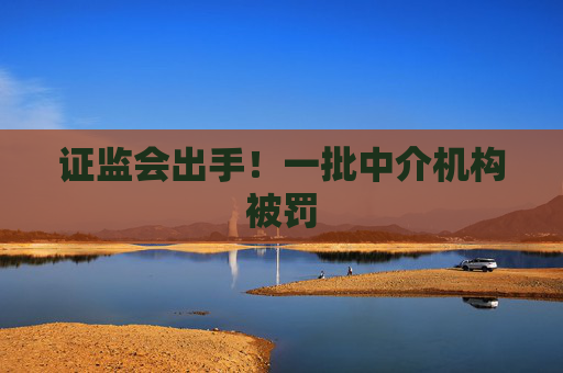 证监会出手！一批中介机构被罚