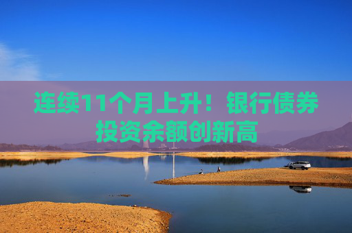 连续11个月上升！银行债券投资余额创新高
