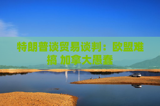 特朗普谈贸易谈判：欧盟难搞 加拿大愚蠢