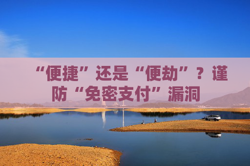 “便捷”还是“便劫”？谨防“免密支付”漏洞