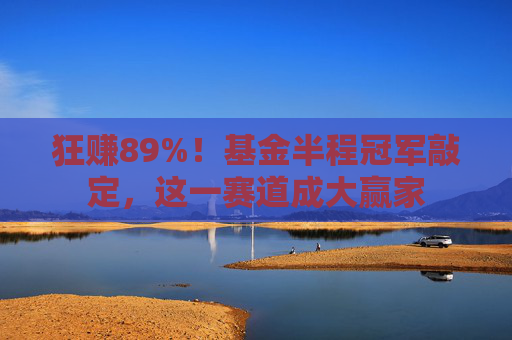 狂赚89%！基金半程冠军敲定，这一赛道成大赢家