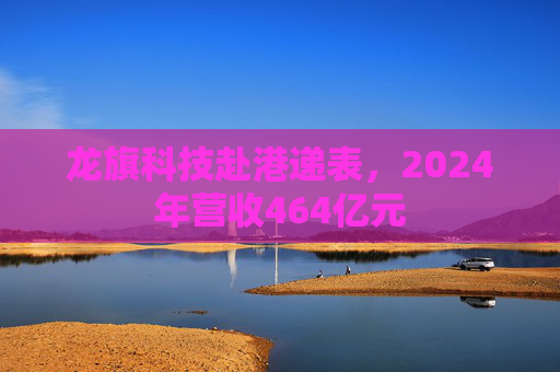 龙旗科技赴港递表，2024年营收464亿元