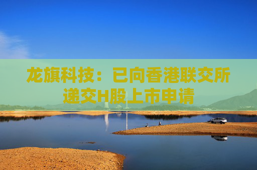 龙旗科技：已向香港联交所递交H股上市申请
