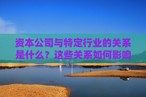 资本公司与特定行业的关系是什么？这些关系如何影响市场动态？