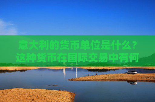 意大利的货币单位是什么？这种货币在国际交易中有何地位？