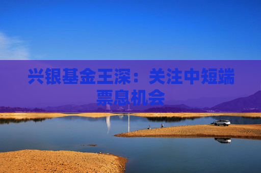 兴银基金王深：关注中短端票息机会