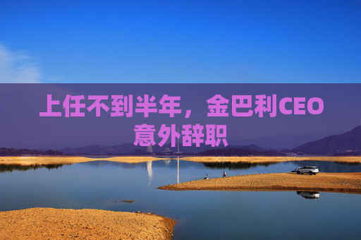 上任不到半年，金巴利CEO意外辞职