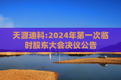 天源迪科:2024年第一次临时股东大会决议公告