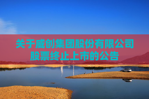 关于威创集团股份有限公司股票终止上市的公告
